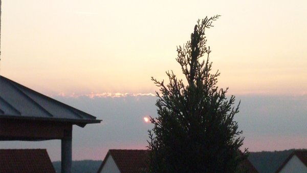 Sunset Behind Silhouetted Tree — nature wallpaper, 2K