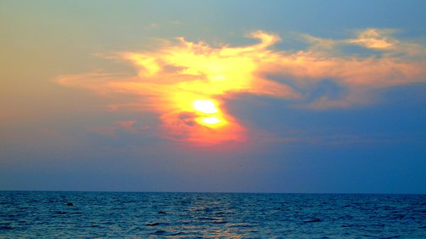 Golden Sunset Over Calm Ocean — nature wallpaper, 5K+
